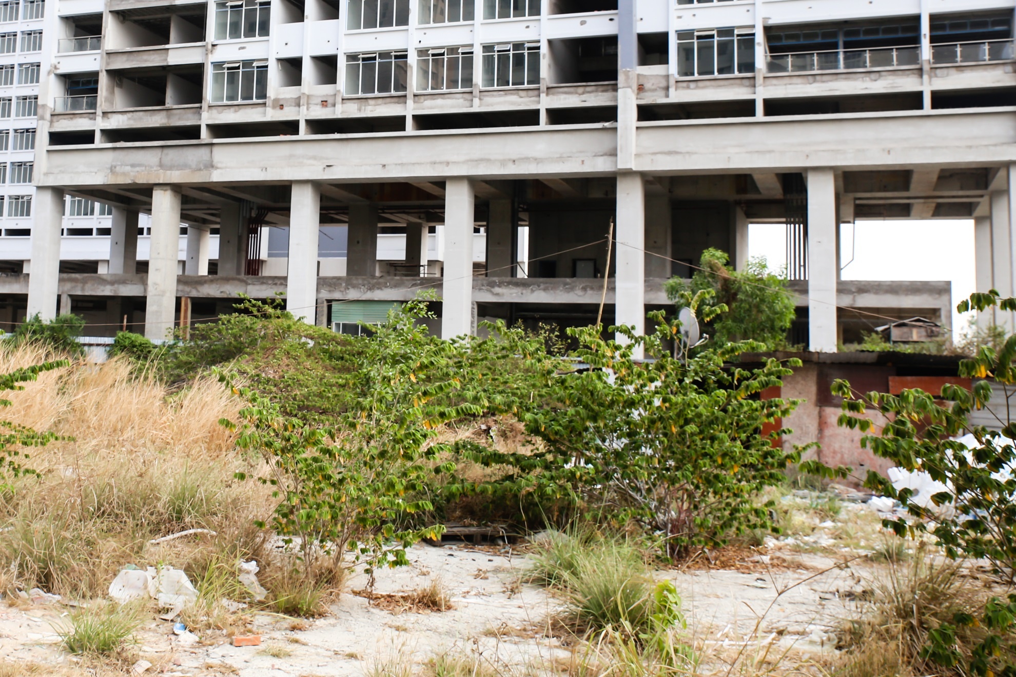 du an dap chieu 5 nam anh 5