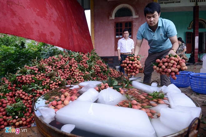 Vai thieu mien Bac ban tai mien Nam anh 1