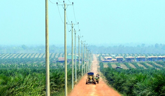 Ty phu lam nong nghiep: O at ra mat, am tham thao chay hinh anh