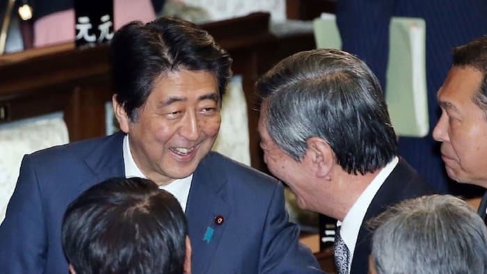 Ha vien Nhat Ban chinh thuc thong qua Hiep dinh TPP hinh anh