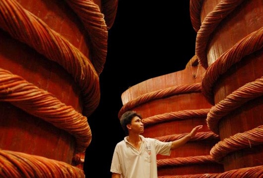 Tien T&A Ogilvy tai tro khao sat nuoc mam tu dau? hinh anh