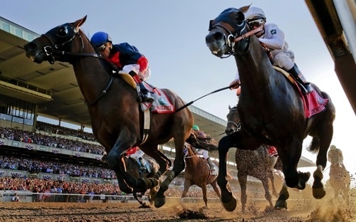 Vinh Phuc chap thuan du an truong dua ngua 1,5 ty USD hinh anh