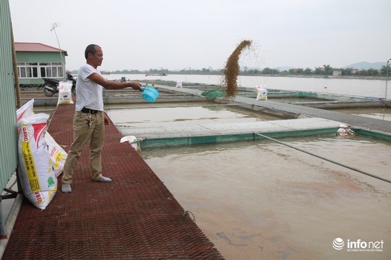 Thanh ty phu nho nuoi loai ca... lam thi phi hinh anh