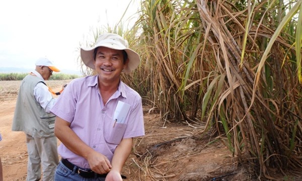 Bau Duc van chua ban xong mang mia duong hinh anh