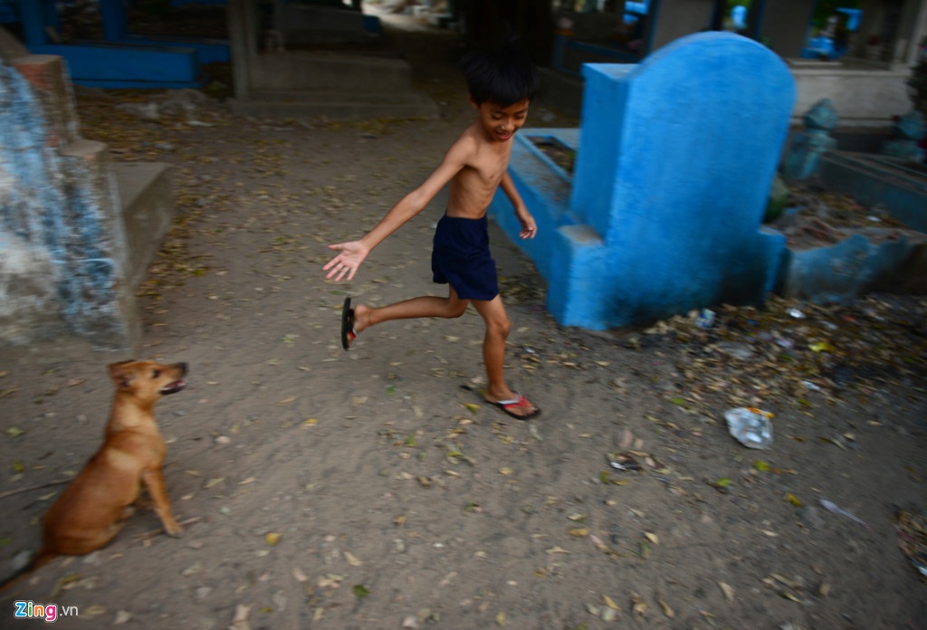 nghia trang thanh khu do thi anh 1