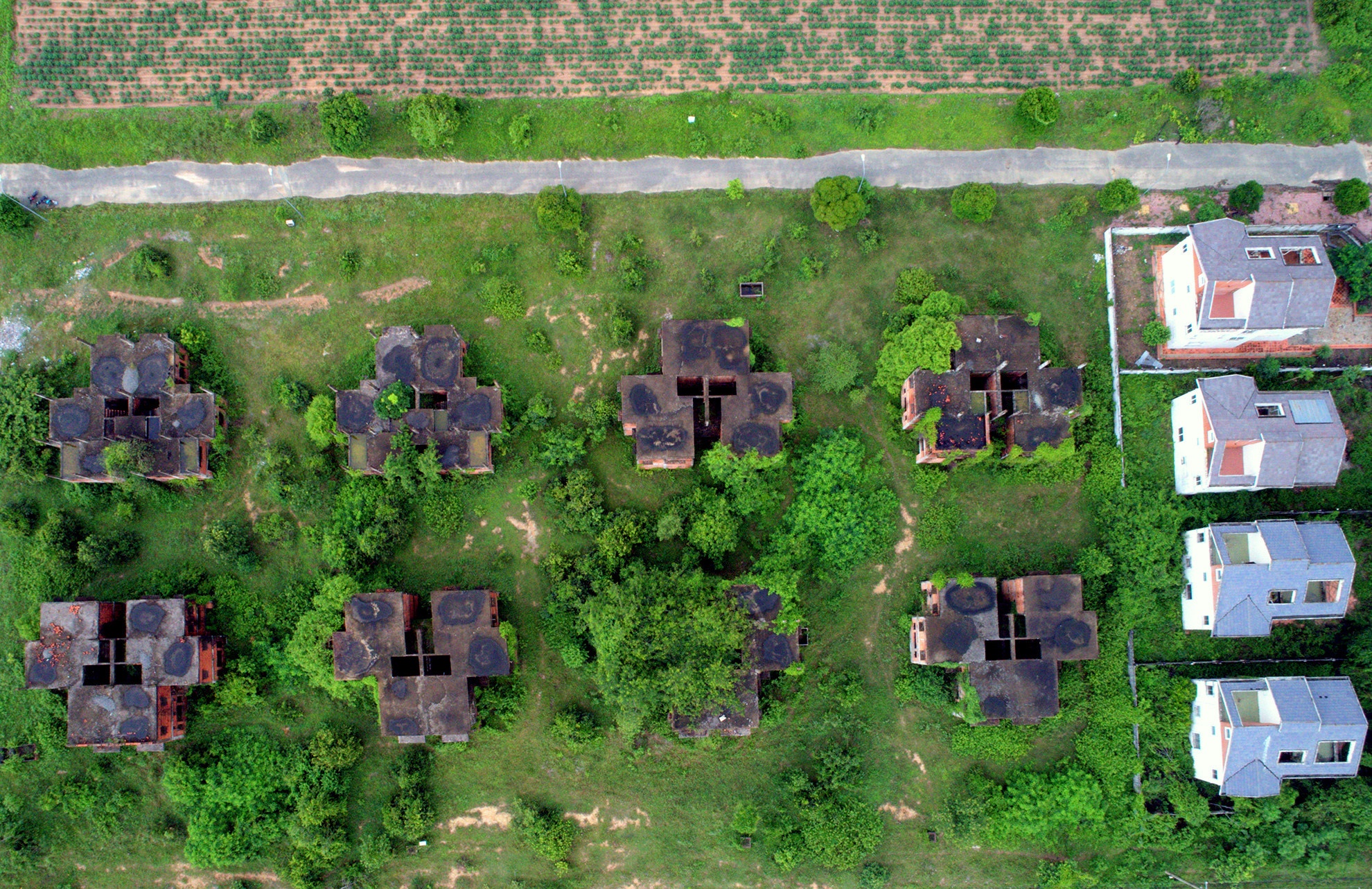 Nhon Trach: Tan tich cua sieu do thi sau nhung tin don hinh anh