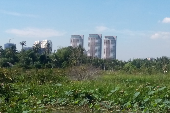 dự án bình quới thanh đa, bitexco, dự án treo sài gòn ảnh 3 du an binh quoi thanh da, bitexco, du an treo sai gon anh 3