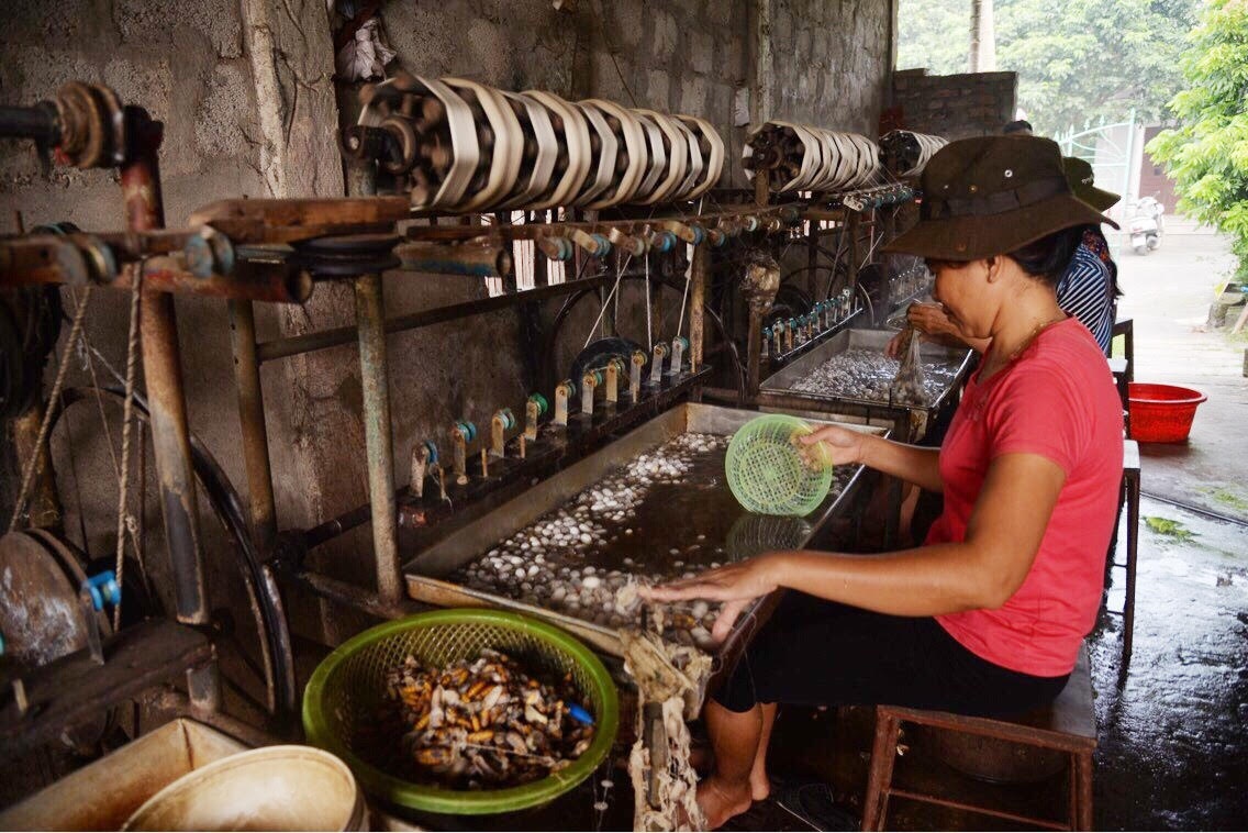 Nguoi chuyen ban lua cho Khaisilk o lang nghe Nha Xa noi gi? hinh anh