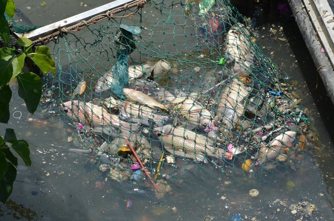 TP.HCM tang phi bao ve moi truong hay tang thu nhap cho can bo? hinh anh