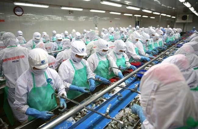 Doanh nghiep cua nu dai gia mat 245 ty tai Eximbank quay lai san HoSE hinh anh