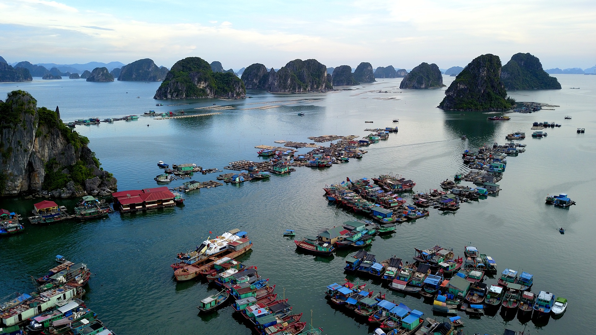 Nguoi nuoc ngoai da su dung bao nhieu dat o Viet Nam? hinh anh