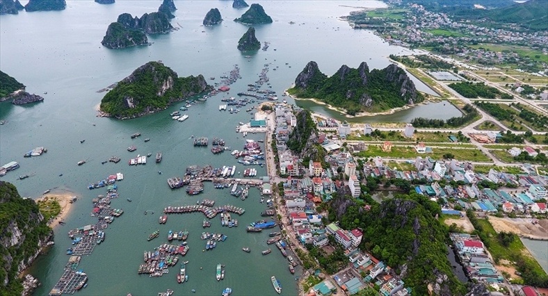 nguoi nuoc ngoai mua dat Viet Nam anh 1