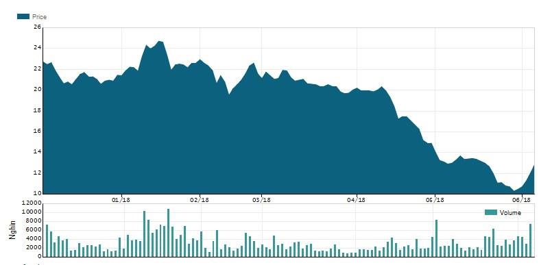 Thao chay khoi Tap doan Hoa Sen anh 4