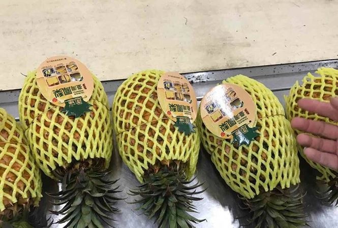 Dua nhap khau 300.000 dong mot trai, dua trong nuoc 3.000 dong mot kg hinh anh