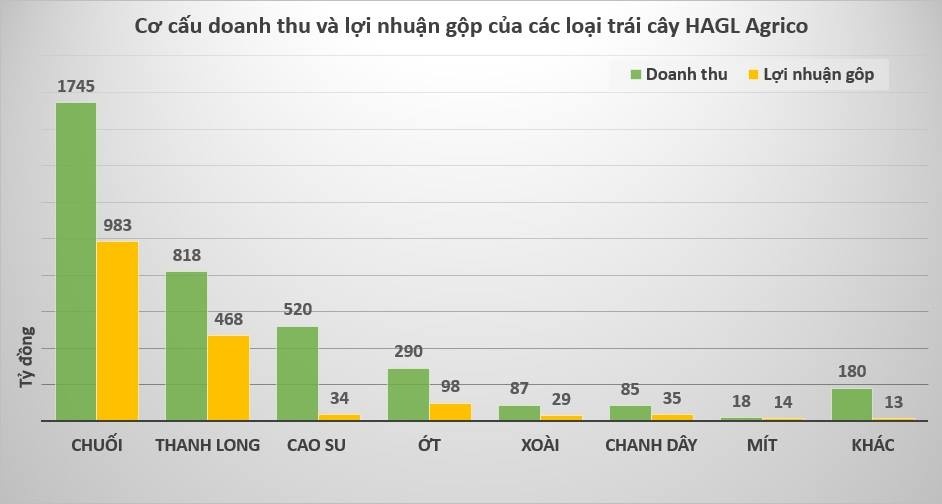 bau duc muon dua HAGL vao bo anh 2
