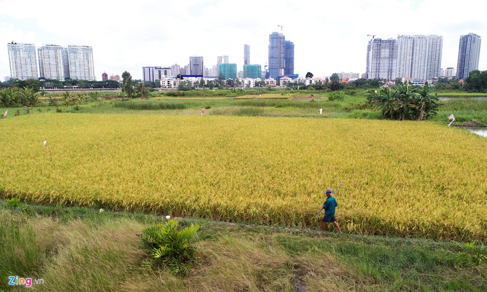 du an Thanh Da treo 26 nam anh 3