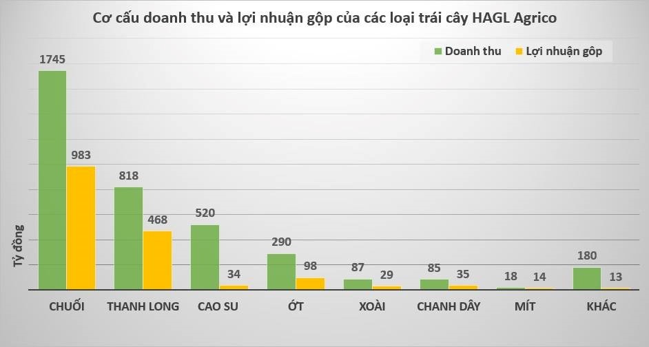 bau Duc con gi sau cai bat tay voi Tran Ba Duong anh 3