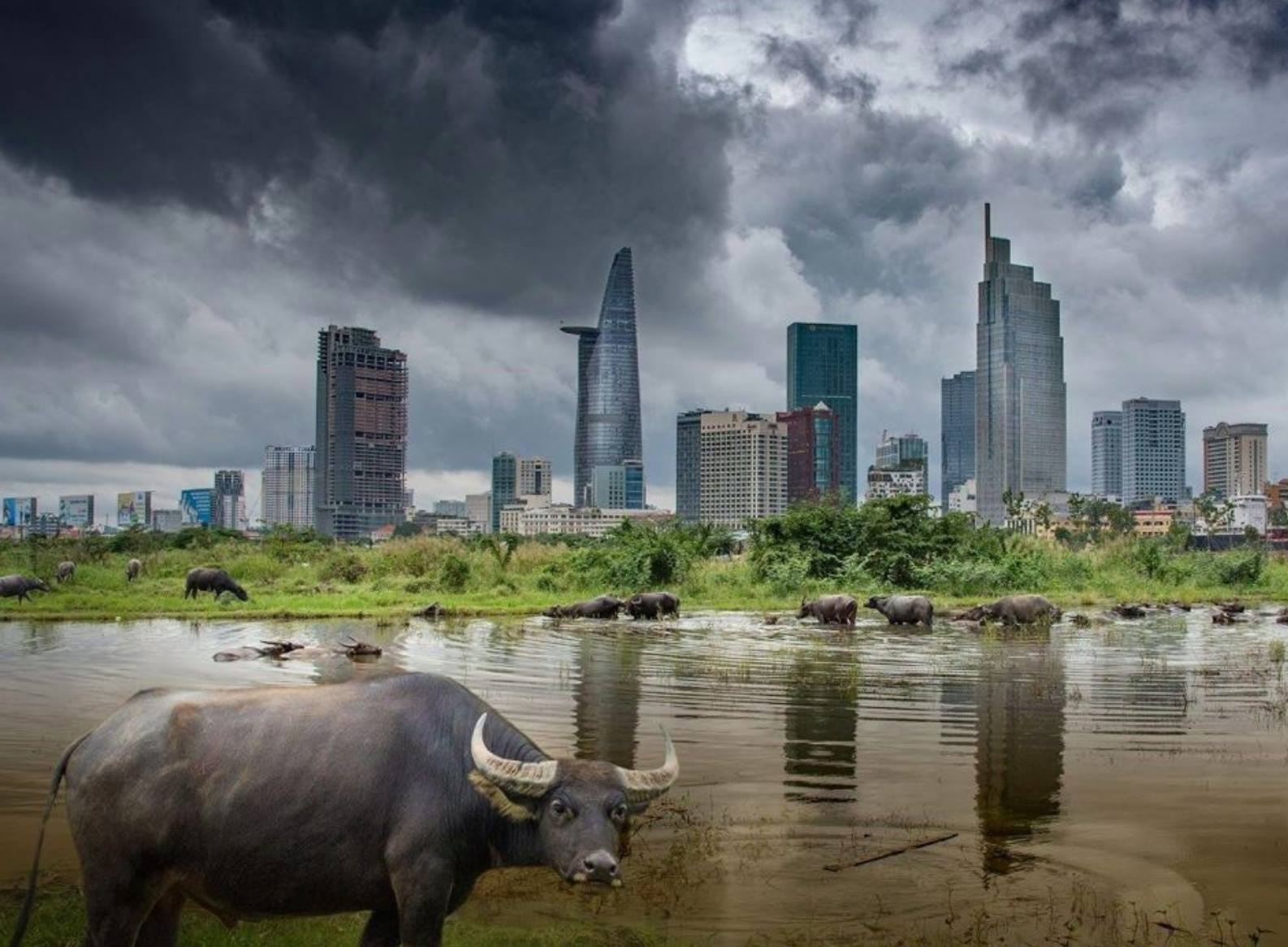 Lo bat dong san TP.HCM ton kho lon nam 2019 hinh anh