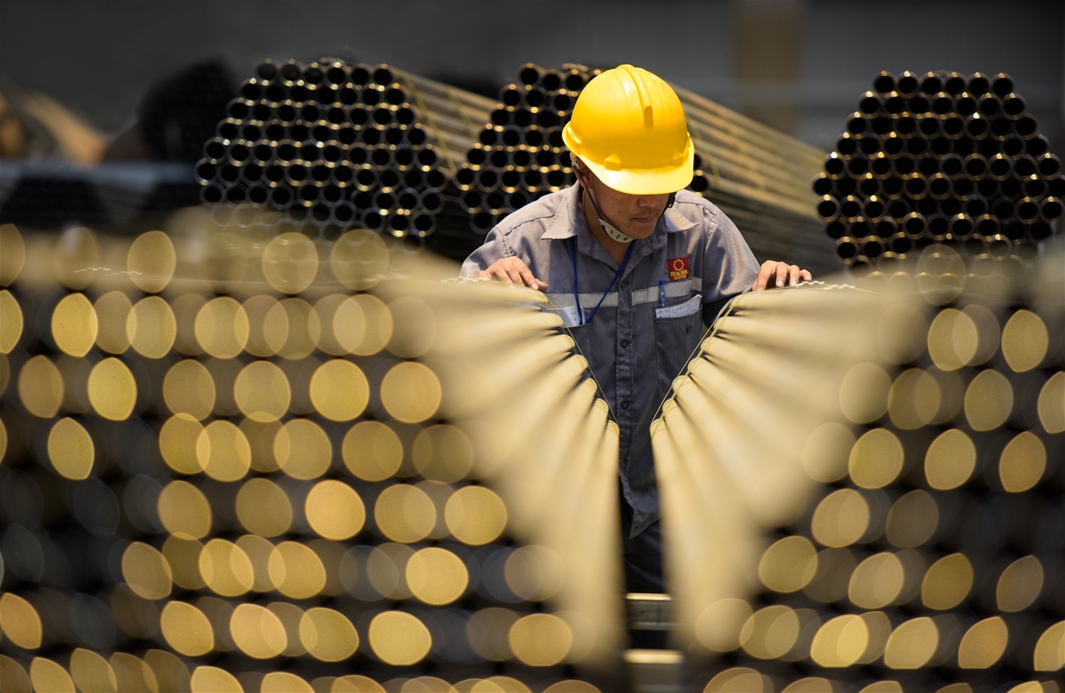 Lê Phước Vũ ở ẩn ảnh 2 Le Phuoc Vu o an anh 2