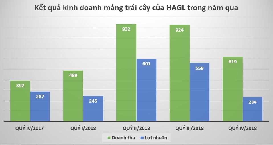 bầu đức báo lỗ ảnh 1 bau duc bao lo anh 1