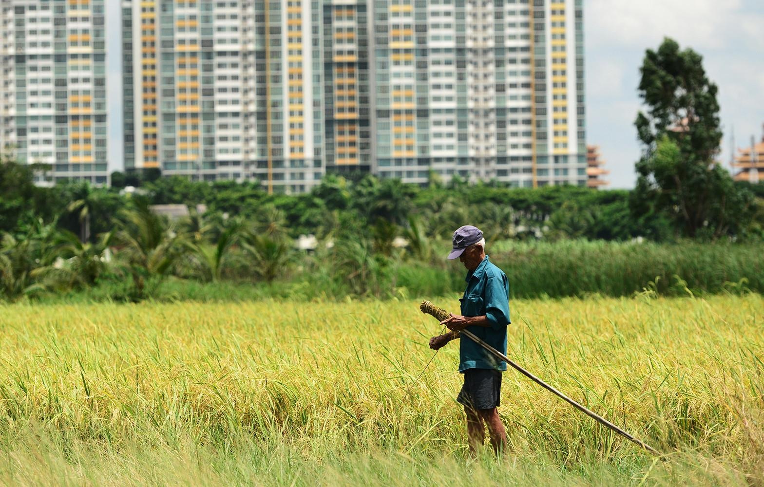 dau tu du an Thanh Da anh 2
