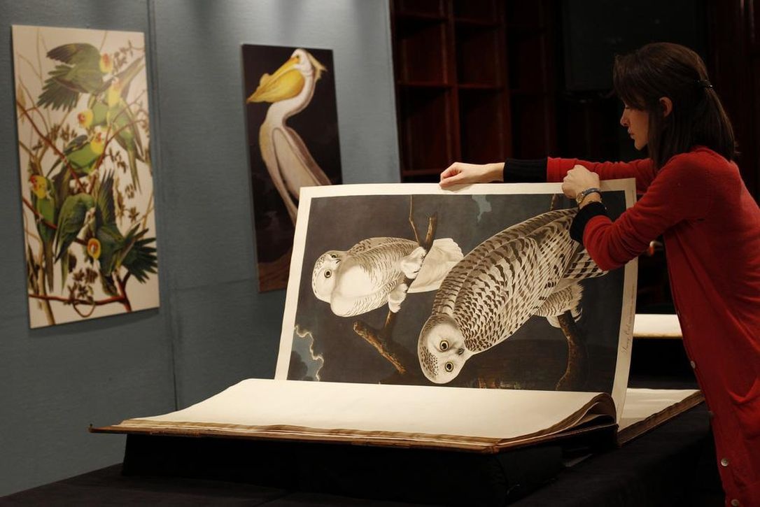 Cuon sach khien 4 sinh vien phai ngoi tu 7 nam hinh anh