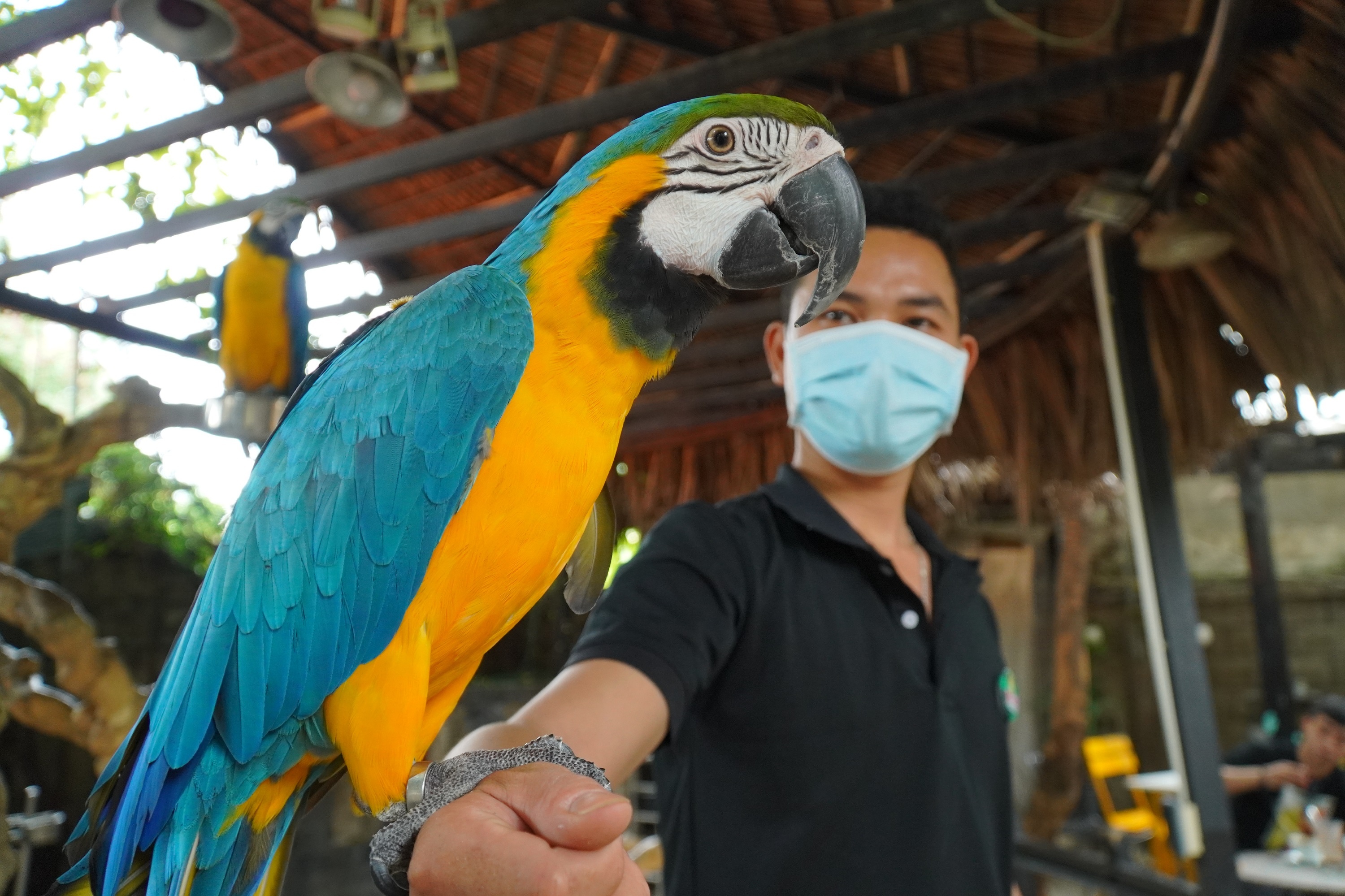 'Thien duong vet' gia tram trieu dong o TP Thu Duc hinh anh