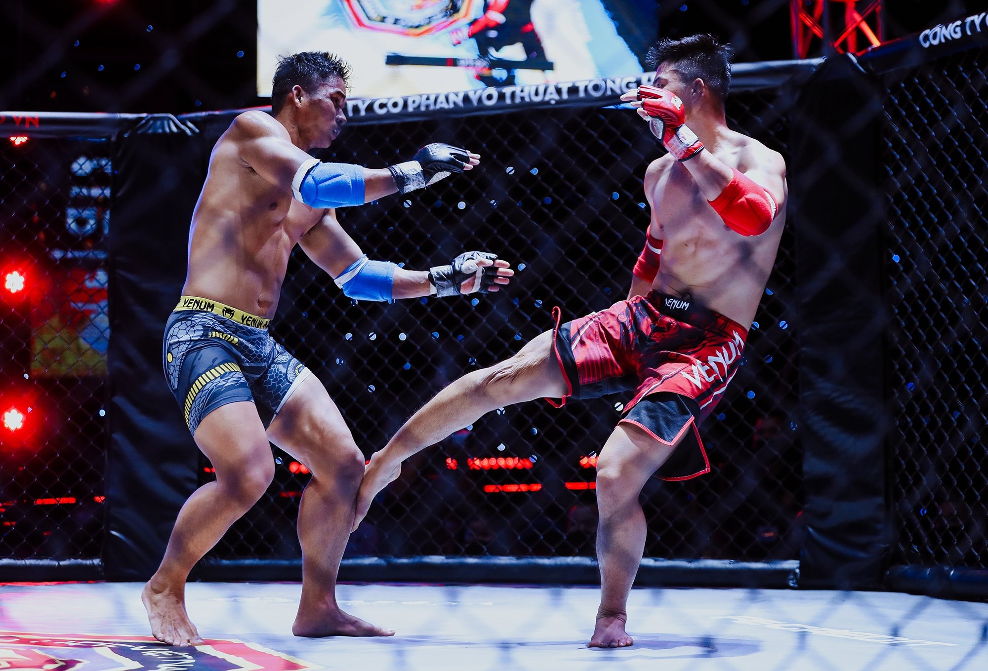 Toi di xem su kien MMA dau tien tai Viet Nam hinh anh