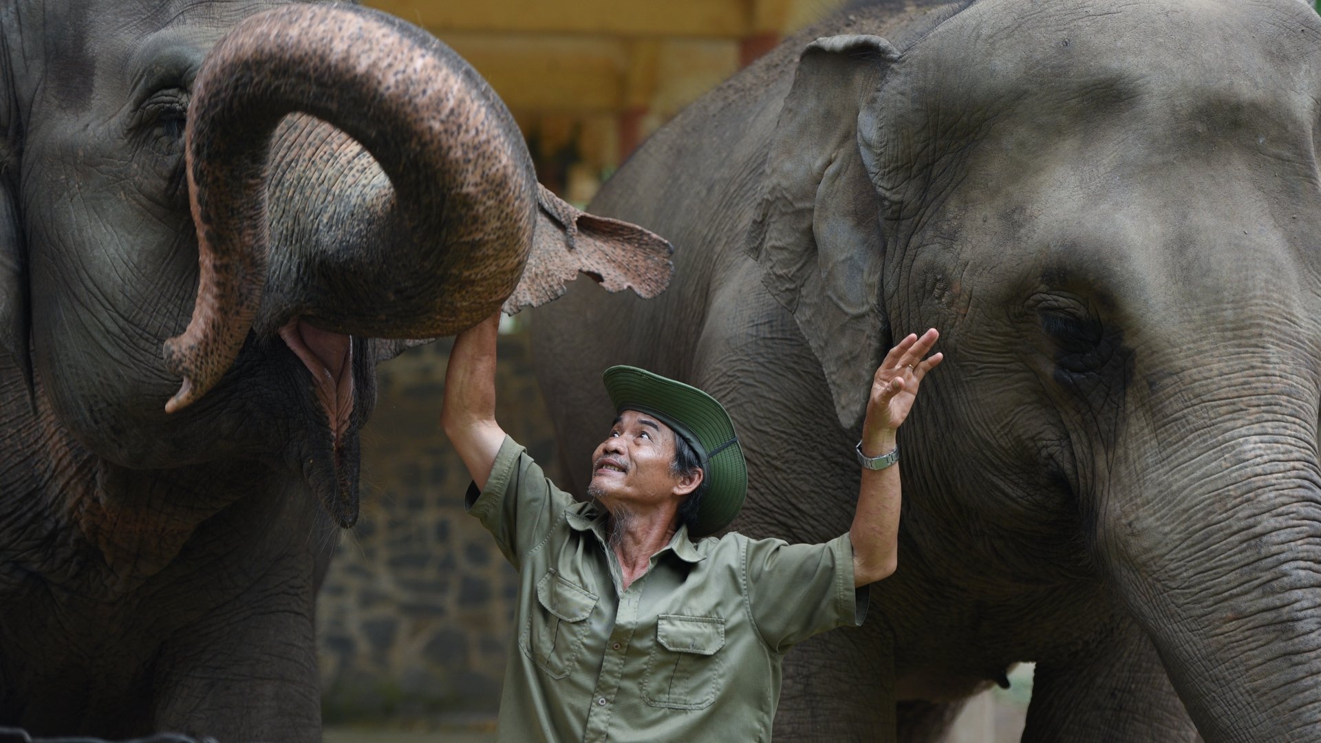 Nguoi dan TP.HCM do ve Thao Cam Vien vui choi ngay Tet hinh anh