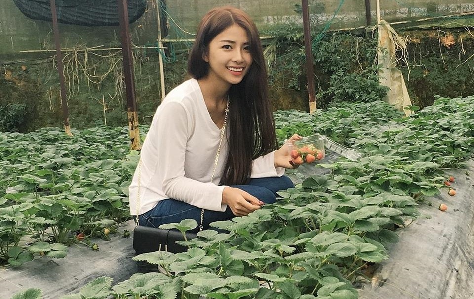 nguoi yeu phan manh quynh anh 6