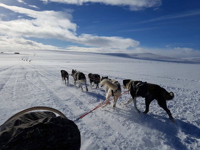chang trai viet nam dau tien chinh phuc bac cuc anh 3