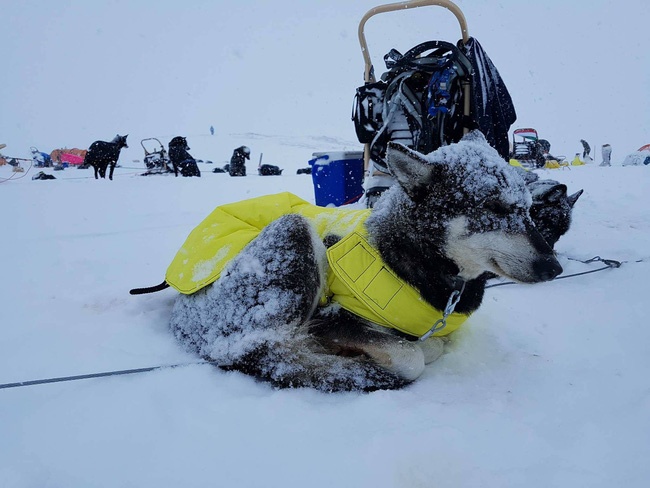 chang trai viet nam dau tien chinh phuc bac cuc anh 4