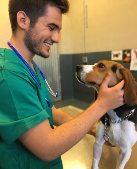 bac si thu y quyen ru nhat the gioi anh 8