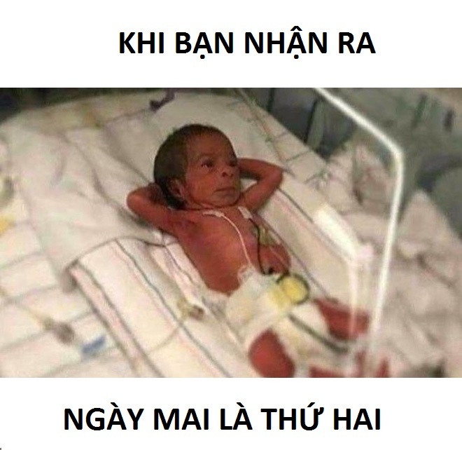 em bé sơ sinh bị chế ảnh ảnh 7 em be so sinh bi che anh anh 7