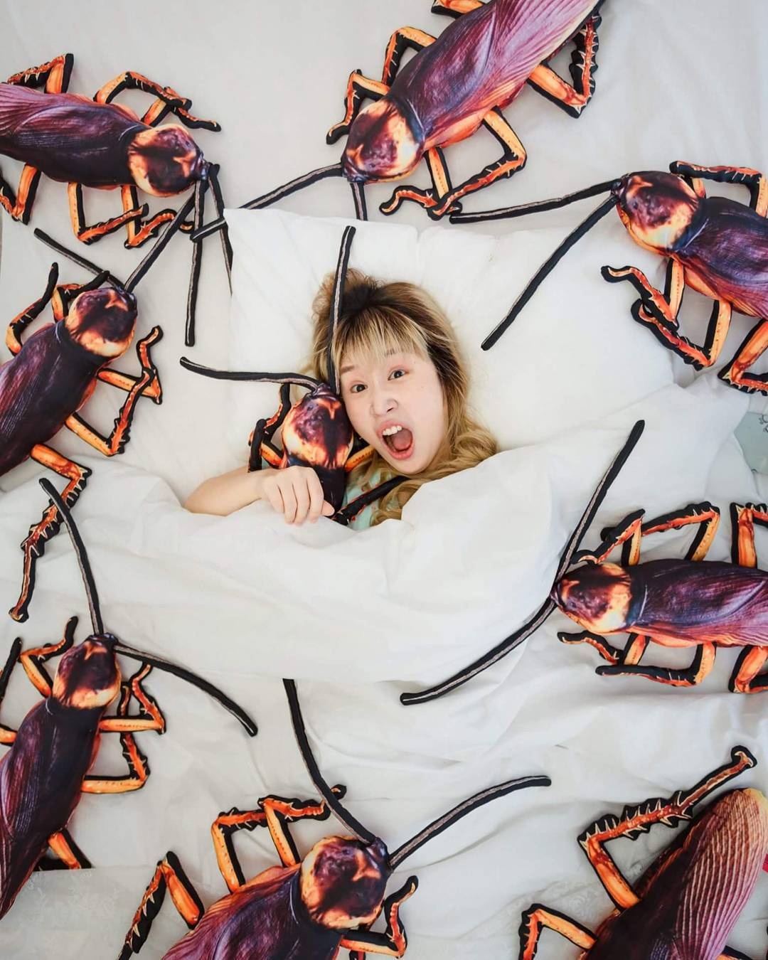 gián nhồi bông ảnh 10 gian nhoi bong anh 10