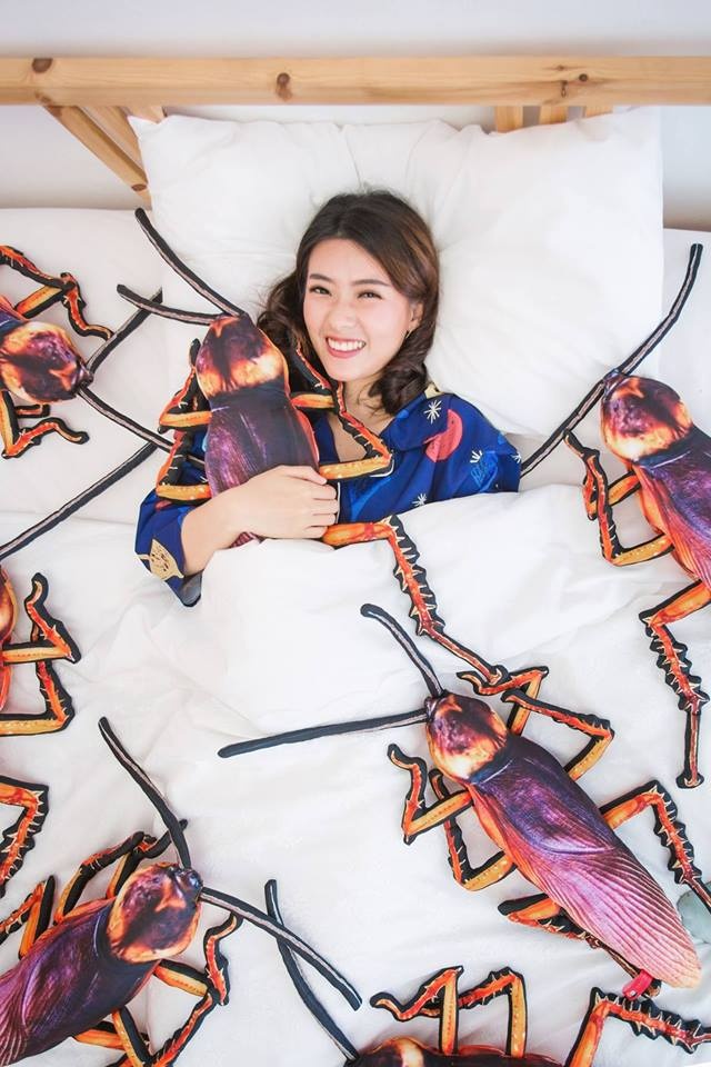 gián nhồi bông ảnh 5 gian nhoi bong anh 5