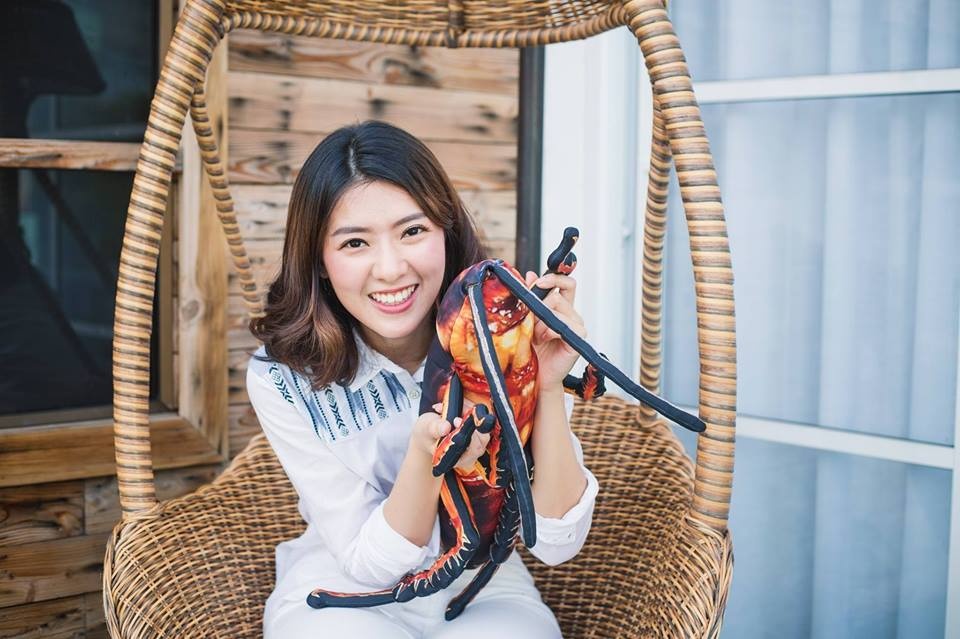 gián nhồi bông ảnh 8 gian nhoi bong anh 8