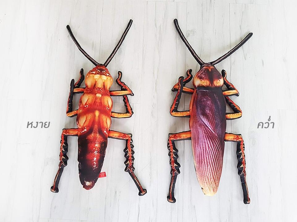 gián nhồi bông ảnh 2 gian nhoi bong anh 2