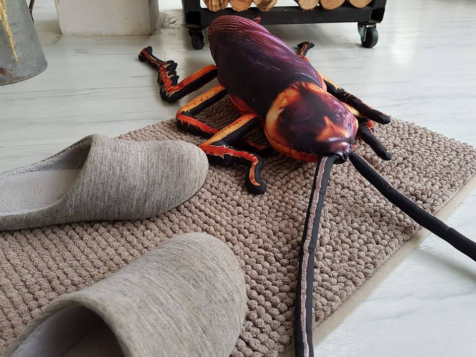 gián nhồi bông ảnh 3 gian nhoi bong anh 3