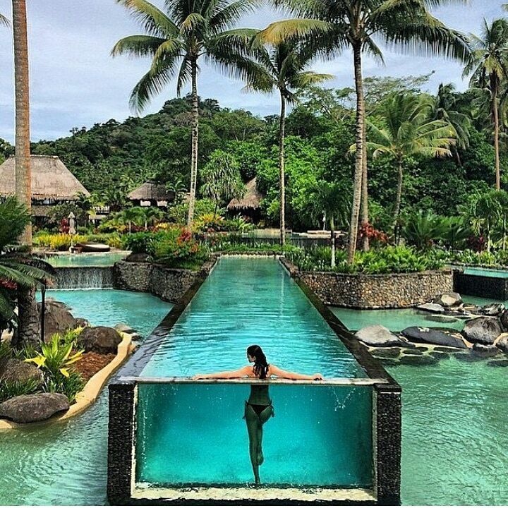 trao luu chup an belfie anh 2