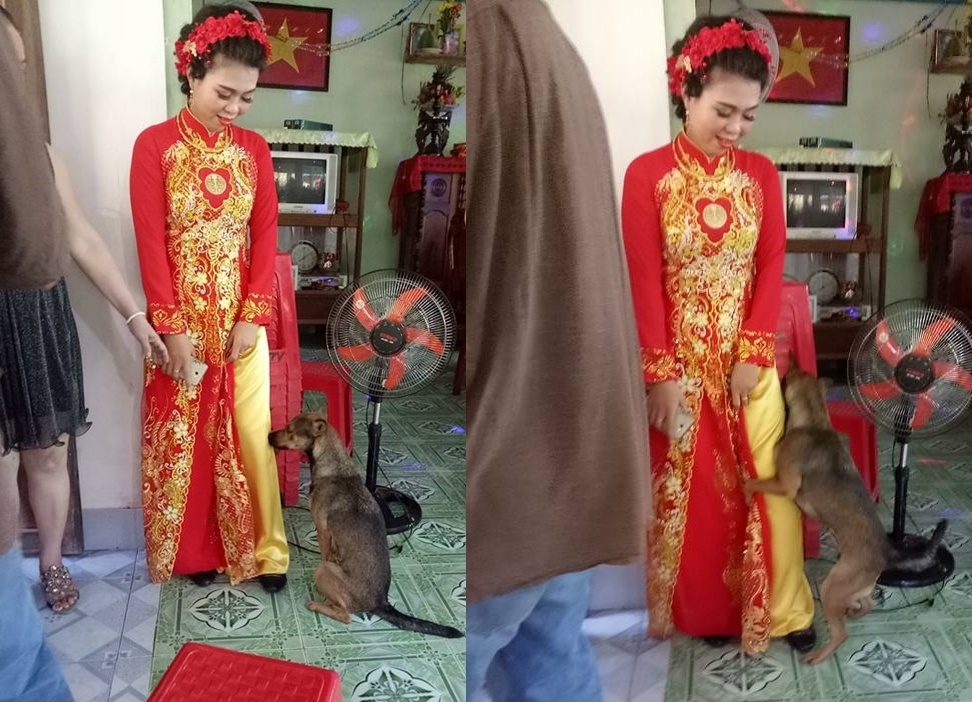 Chu cho khong muon roi xa khi co chu lay chong hinh anh