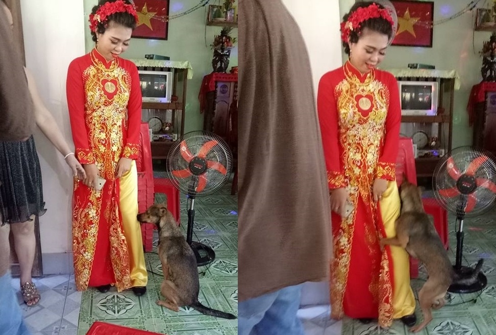 Co chu di lay chong, chu cho quan quyt om chan khong muon roi xa hinh anh