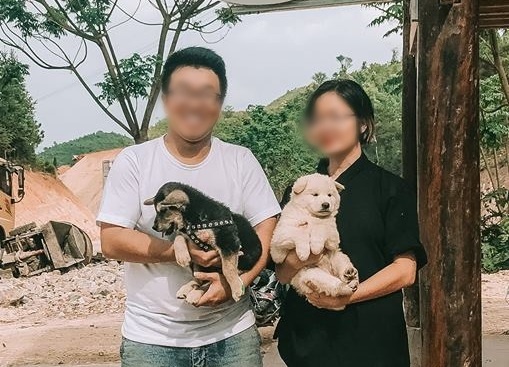 co gai to nguoi yeu phan boi anh 2