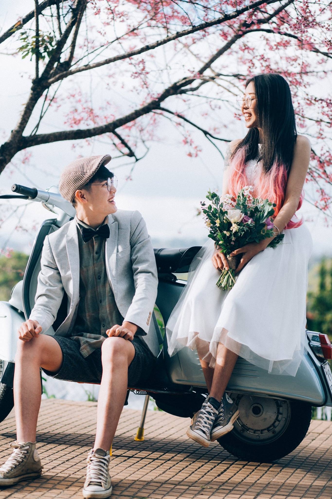 hoa mai anh dao anh 4