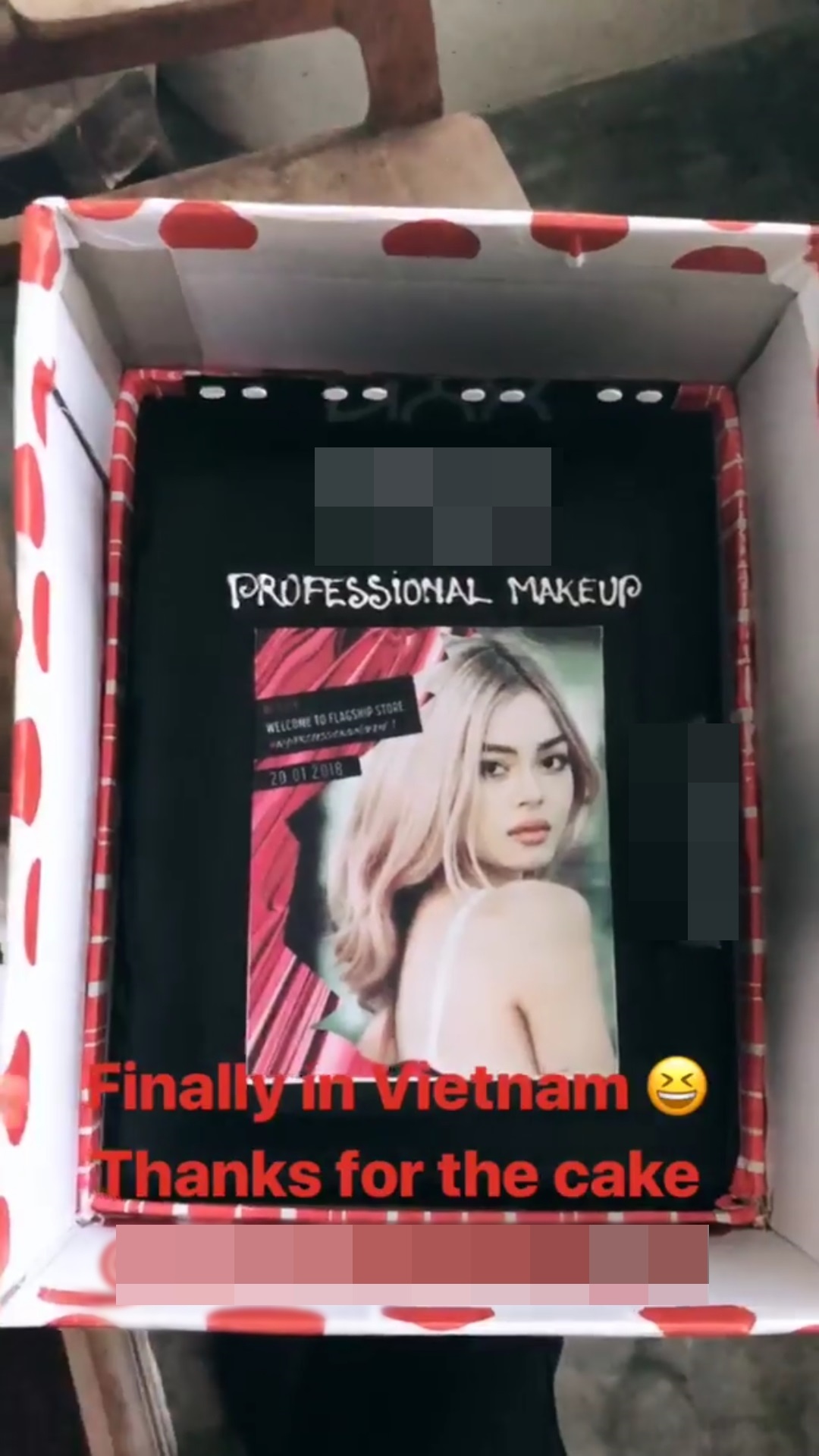 Lily maymac den viet nam anh 4