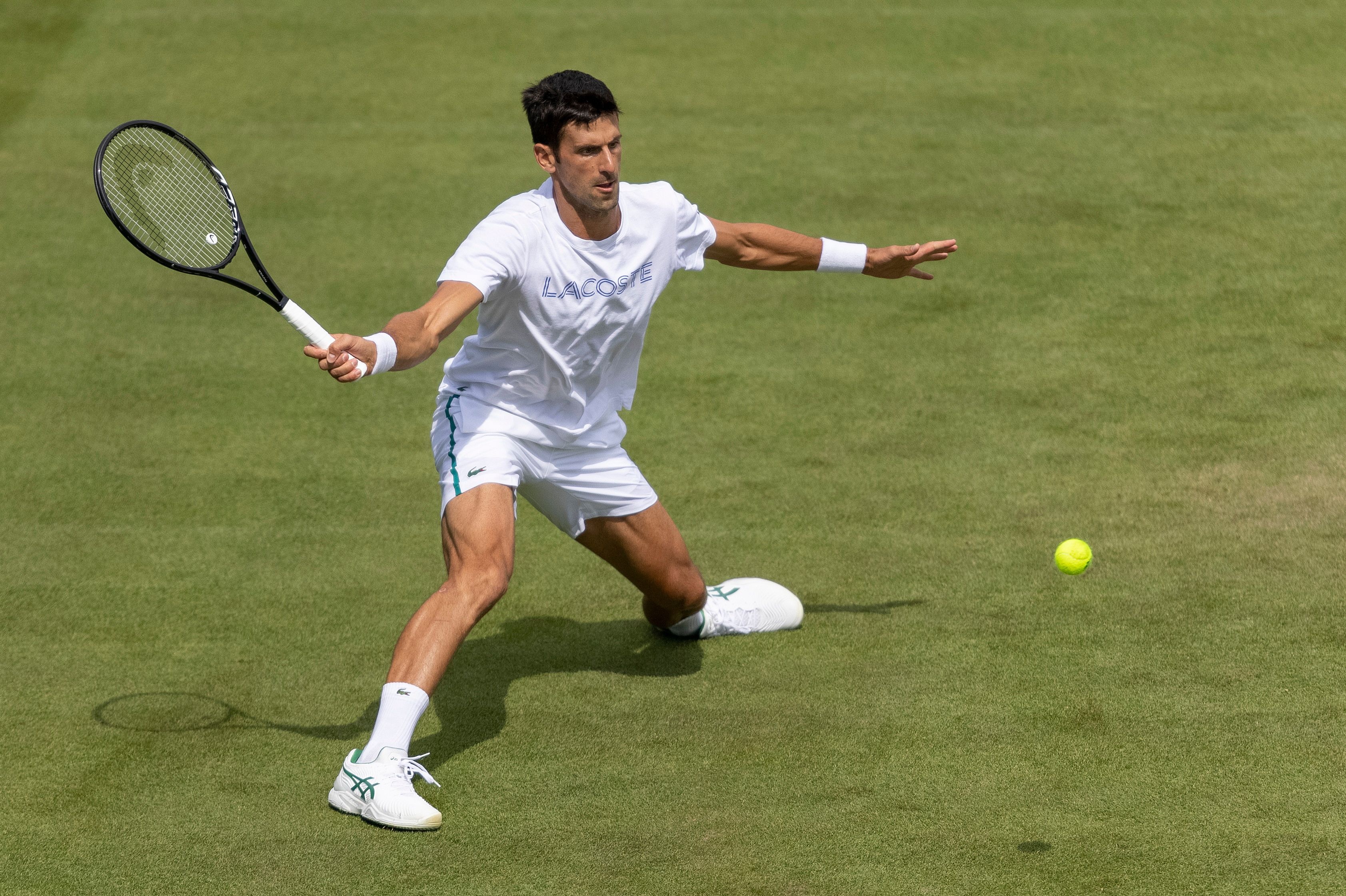 Novak Djokovic anh 1