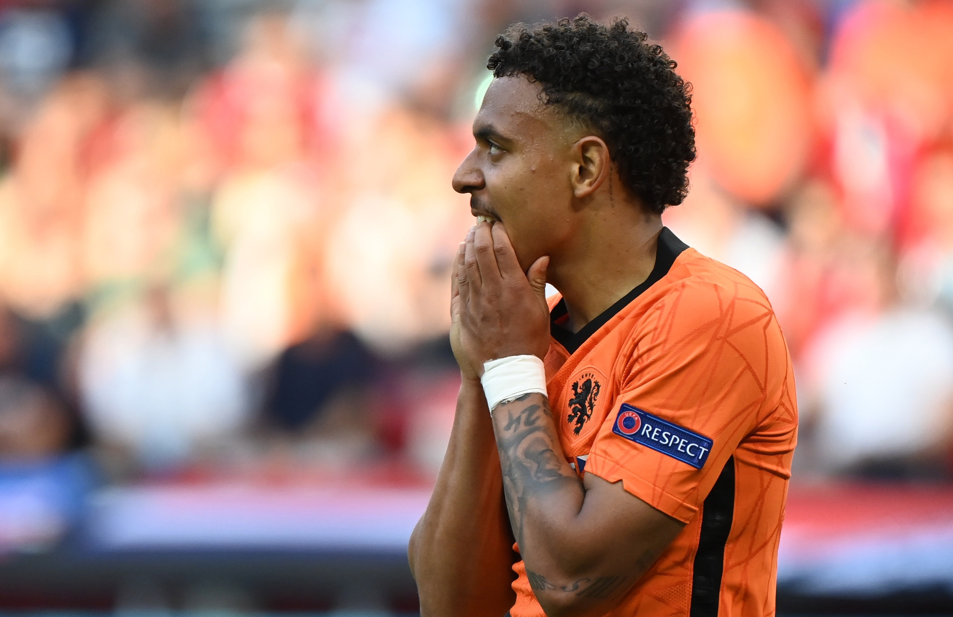 Tuyen Ha Lan nho Robben va Van Persie hinh anh