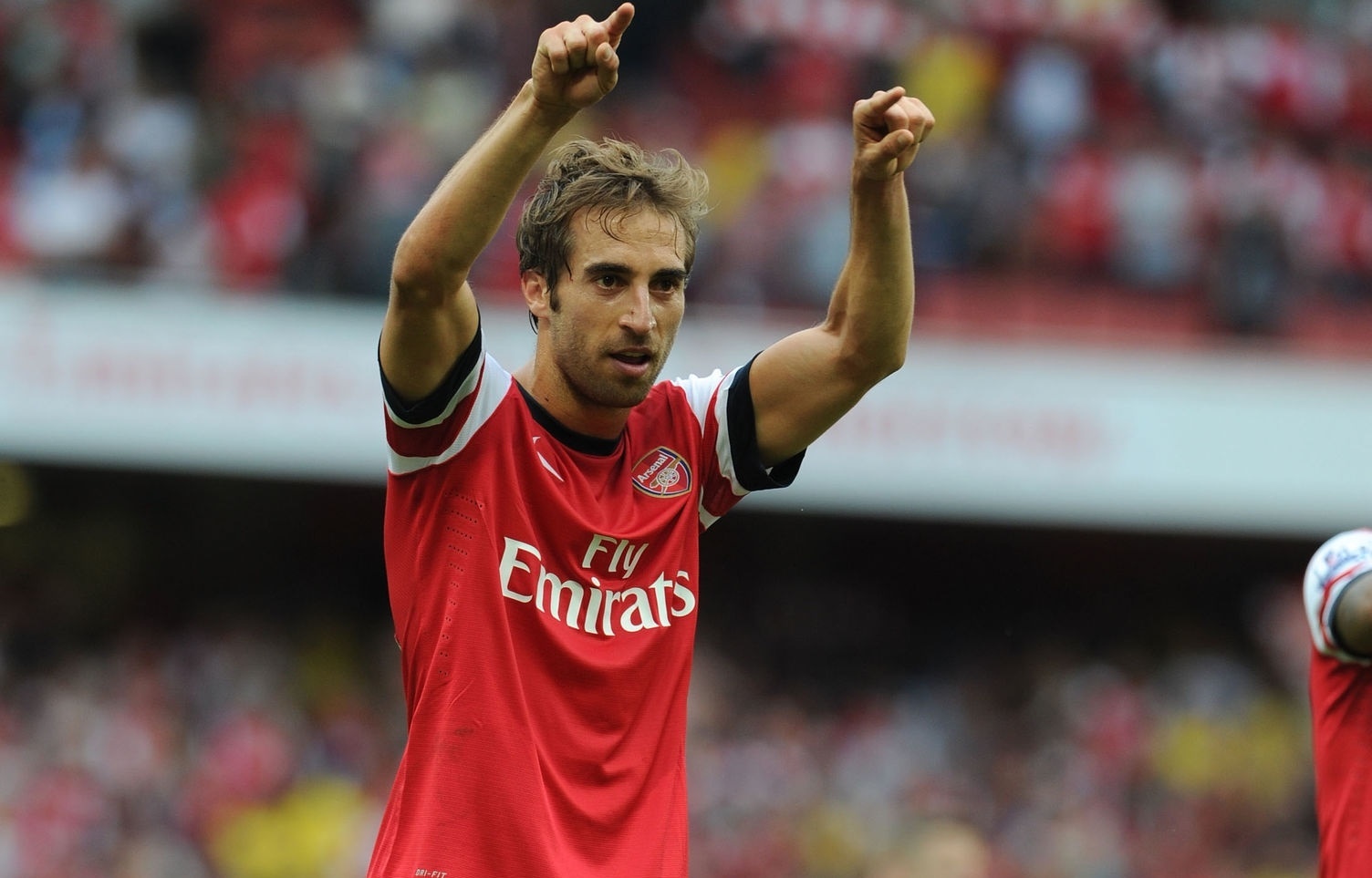 Premier League anh 5