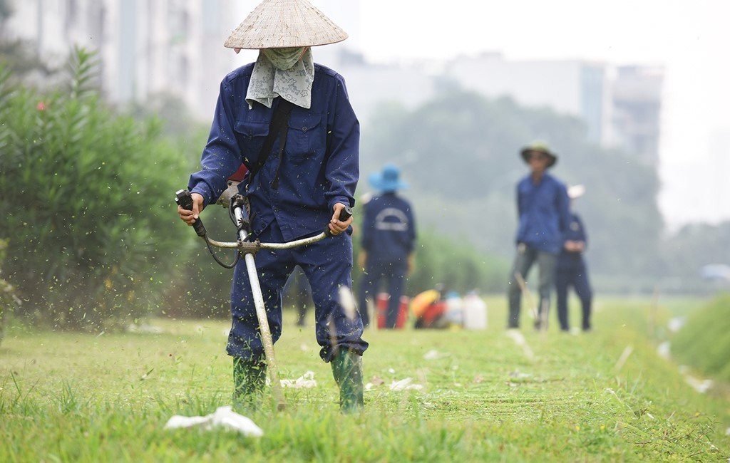Ha Noi quy dinh chi tiet luong nuoc tuoi khi cham vuon hoa hinh anh