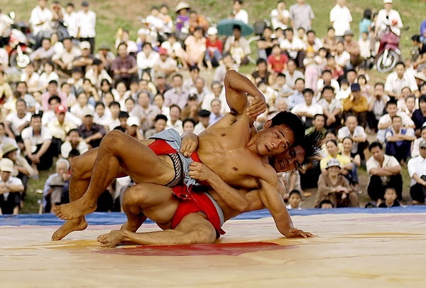 Dan cay thach dau kien tuong vat quoc gia hinh anh